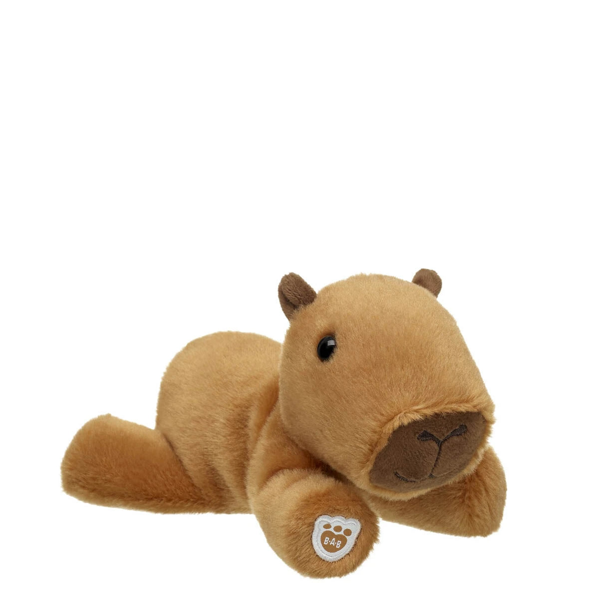 Capybara Stuffed Animal & Mini Beans Gift Set - US 1176