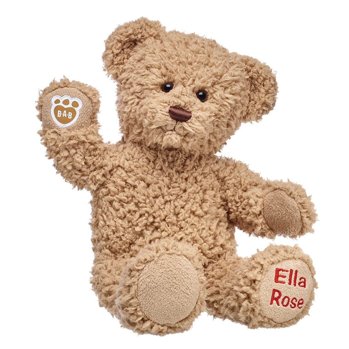Embroidered Teddy Bear | Online Exclusive Gift | Shop at Build-A-Bear® - US 3431