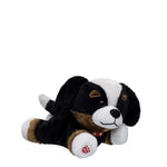 Build-A-Bear Mini Beans Promise Pets Bernese | BAB - US 3205