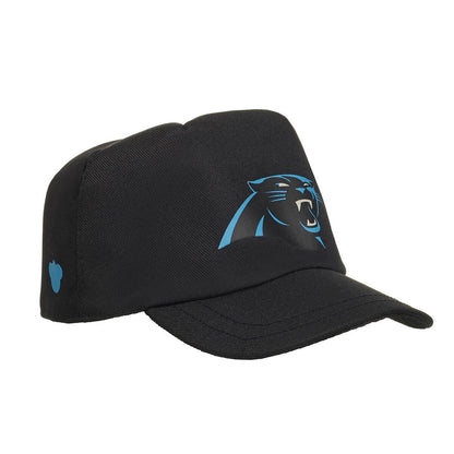 Carolina Panthers Timeless Teddy Bear Football Gift Set - US 8608