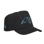 Carolina Panthers Fan Hat for Stuffed Animals - US 3284