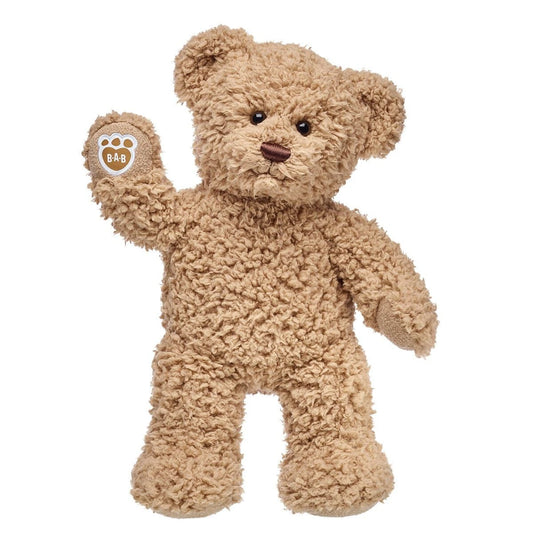 Timeless Teddy Bear | Build-A-Bear® - US 3860